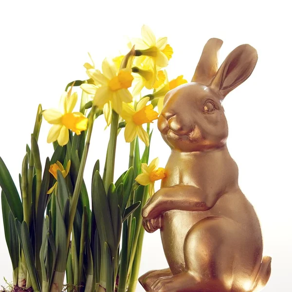 乐天堂捕鱼游戏